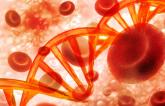 Genetic Study Hints at Role of Lipids in AAA Risk
