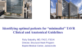 Identifying Optimal Patients for “Minimalist” TAVR – Clinical and Anatomic Guidelines