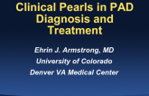 Clinical Pearls in: Lower Extremity PAD Diagnosis and Treatment