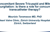 Concomitant Severe Tricuspid and Mitral Regurgitation: Is There a Role for Concurrent Transcatheter Therapy?