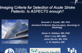 Imaging Criteria for Selection of Acute Stroke Patients: Is ASPECTS Enough?