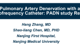 Pulmonary Artery Denervation With a Radiofrequency Catheter: PADN Study Results