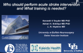 Who Should Perform Acute Stroke Intervention and What Training Is Needed?