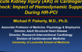 Acute Kidney Injury in Cardiogenic Shock: Impact of Hemodynamic Support