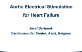 Aortic Arch Electrical Stimulation for Heart Failure