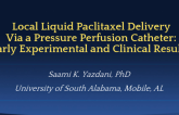 Local Liquid Paclitaxel Delivery Via a Novel Perfusion Catheter: Early Experimental and Clinical Results