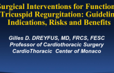 Surgical Interventions for Functional Tricuspid Regurgitation: Guideline Indications, Risks, and Benefits