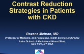 Contrast Reduction Strategies in the Patient With CKD