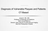 Novel Noninvasive Approaches I: CT-Based