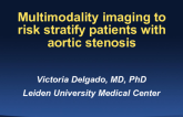 Multimodality Imaging to Risk Stratify Patients With Aortic Stenosis
