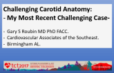 Challenging Carotid Anatomy: My Most Memorable Cases