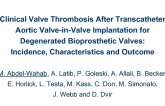 TCT 105: Clinical Valve Thrombosis After Transcatheter Aortic Valve-in-Valve Implantation for Degenerated Bioprosthetic Valves: Incidence, Characteristics, and Outcomes