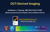 Novel Invasive Diagnostics I: OCT-Derived Imaging