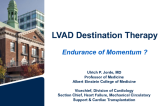 ENDURANCE of MOMENTUM: Destination Therapy State-of-the-Art