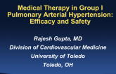 Medical Therapy in Group I Pulmonary Arterial Hypertension: Efficacy and Safety
