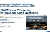 Post-TAVR Valve Thickening: Current Data and Open Questions