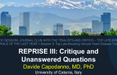 REPRISE III: Critique and Unanswered Questions