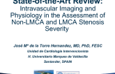 State-of-the-Art Review: Intravascular Imaging and Physiology in the Assessment of Non-LMCA and LMCA Stenosis Severity