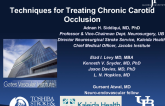 Techniques for Treating Chronic Carotid Occlusion