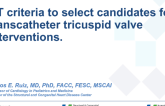 CT Criteria to Select Candidates for Transcatheter Tricuspid Valve Interventions