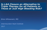 Is LAA Closure an Alternative to Triple Therapy for All Patients or Just Those at High Bleeding Risk? Current Dataset