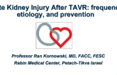 Acute Kidney Injury After TAVR: Frequency, Etiology, and Prevention