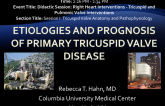 Etiologies and Prognosis of Primary Tricuspid Valve Disease