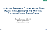 Left Atrial Appendage Closure With a Novel Device: Initial Experience and Short-term Follow-up From a Single Center