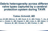 TCT 108: Debris Heterogeneity Across Different Valve Types Captured by a Cerebral Protection System During TAVR