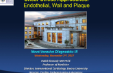 Novel Invasive Diagnostics III: Shear Stress Approaches (Endothelial, Wall, Plaque)