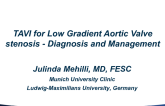 TAVR for Low-gradient AS (Normal and Reduced LVEF) – Diagnosis and Management