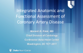 Integrated Anatomical and Functional Assessment of Coronary Artery Stenosis