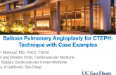Balloon Pulmonary Angioplasty II: Technique With Case Examples