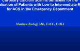 Coronary Calcium Scan is Sufficient for the Evaluation of Patients with Low to Intermediate Risk for ACS in the Emergency Department