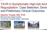TAVR in Symptomatic High-risk Aortic Regurgitation: Case Selection, Devices and Preliminary Clinical Outcomes
