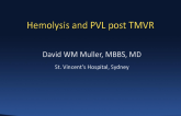 Hemolysis After TMVR