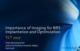 Importance of Imaging for BRS Implantation and Optimization: Rationale and Case Demonstrations