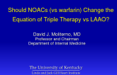 Should the New Oral Anticoagulants (vs Warfarin) Change the Equation of Triple Therapy vs LAA Closure?