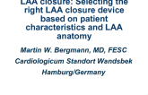 Selecting the Right LAA Closure Device Based on Patient Characteristics and LAA Anatomy: Occluder, Ligation, or Clipping