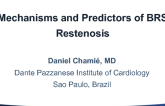 Mechanisms and Predictors of BRS Restenosis (With Case Demonstrations)