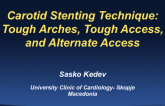 Carotid Stenting Technique: Tough Arches, Tough Access, and Alternate Access