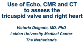 Use of Echo, CMR, and CT to Assess the Tricuspid Valve and Right Heart