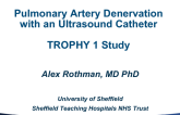 Pulmonary Artery Denervation With an Ultrasound Catheter: TROPHY Study Results