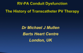 RV-PA Conduit Dysfunction: The History of Transcatheter PV Therapy