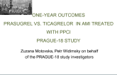 One-Year Outcomes: Prasugrel vs Ticagrelor in AMI Treated With PPCI PRAGUE-18 Study