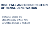 Rise, Fall And Resurrection of Renal Denervation