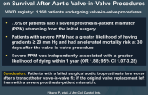 Impact of Pre-Existing Prosthesis-Patient Mismatch on Survival After Aortic Valve-in-Valve Procedures