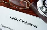 Role of Lp(a) Still to Be Determined, but NHLBI Sees a Path Forward