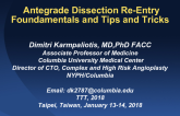 Antegrade Dissection Re-Entry Foundamentals and Tips and Tricks