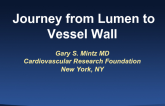 Journey from Lumen to Vessel Wall
